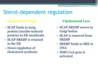 Sterol-dependent regulation
Cholesterol High
• SCAP binds to insig
protein (insulin-induced
protein) in ER membrabe
• SCAP-SREBP is retained
in the ER
• Down regulation of
cholesterol synthesis
Cholesterol Low
• SCAP-SREBP moves to
Golgi bodies
• SCAP is removed from
SREBP
• SREBP binds to SRE in
DNA
• HMG CoA gene is
activated
 