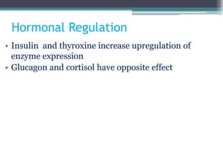 Hormonal Regulation
• Insulin and thyroxine increase upregulation of
enzyme expression
• Glucagon and cortisol have opposite effect
 