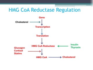 HMG CoA Reductase Regulation
Gene
Transcription
Translation
HMG CoA Reductase
HMG CoA
Cholesterol
Cholesterol
Glucagon
Cortisol
Statins
Insulin
Thyroxin
 