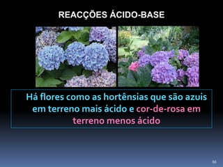 não deve ser excedido sob risco de contaminação