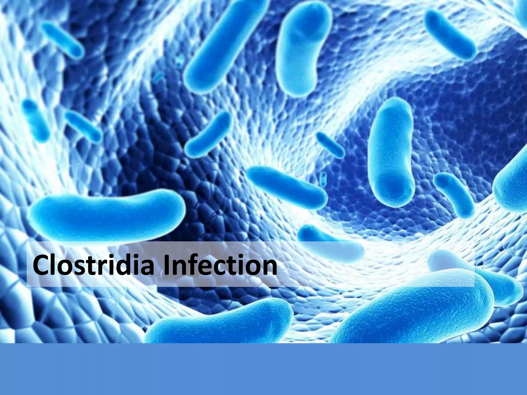 Clostridia Infection | PPTX