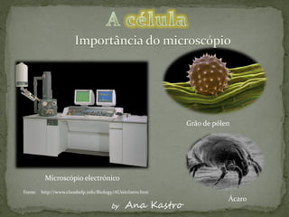 Grão de pólen




          Microscópio electrónico
Fonte:   http://www.classhelp.info/Biology/AUnit1Intro.htm
                                                                         Ácaro
                                        by     Ana Kastro
 