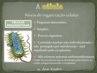 CÉLULAS       Pequenas dimensões;
PROCARIÓTICAS
                 Simples;

                 Poucos organitos;

                 Conteúdo nuclear não individualizado /
                não protegido por membranas – está
                espalhado pelo citoplasma;

                 Não existem sistemas endomembranares
                (“rede” de membranas que se distribuem pelo interior da
                célula, compartimentando o citoplasma)

                   by   Ana Kastro
 