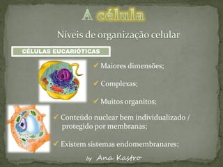 CÉLULAS EUCARIÓTICAS

                      Maiores dimensões;

                      Complexas;

                      Muitos organitos;

        Conteúdo nuclear bem individualizado /
         protegido por membranas;

        Existem sistemas endomembranares;
                by    Ana Kastro
 