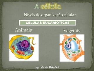 CÉLULAS EUCARIÓTICAS




    by   Ana Kastro
 