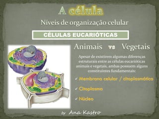 CÉLULAS EUCARIÓTICAS


            Apesar de existirem algumas diferenças
            estruturais entre as células eucarióticas
           animais e vegetais, ambas possuem alguns
                 constituintes fundamentais:

             Membrana celular / citoplasmática
             Citoplasma
             Núcleo

    by   Ana Kastro
 