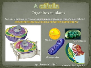 São os elementos, as “peças”, os pequenos órgãos que compõem as células!
         DESEMPENHAM NA CELULA FUNÇÕES ESPECÍFICAS!




                                   Núcleo                     Cloroplastos




                                    Mitocôndrias


                          by   Ana Kastro          Aparelho de Golgi e R.E.
 