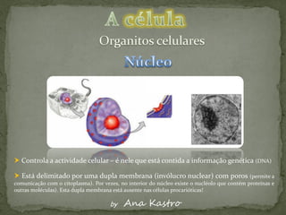  Controla a actividade celular – é nele que está contida a informação genética (DNA)

 Está delimitado por uma dupla membrana (invólucro nuclear) com poros (permite a
comunicação com o citoplasma). Por vezes, no interior do núcleo existe o nucléolo que contém proteínas e
outras moléculas). Esta dupla membrana está ausente nas células procarióticas!

                                      by   Ana Kastro
 