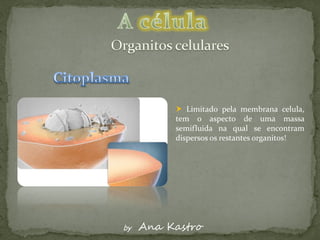  Limitado pela membrana celula,
          tem o aspecto de uma massa
          semifluida na qual se encontram
          dispersos os restantes organitos!




by   Ana Kastro
 