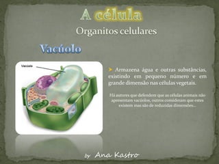  Armazena água e outras substâncias,
        existindo em pequeno número e em
        grande dimensão nas células vegetais.

        Há autores que defendem que as células animais não
         apresentam vacúolos, outros consideram que estes
             existem mas são de reduzidas dimensões…




by   Ana Kastro
 