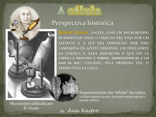 ROBERT HOOKE, INGLÊS, COM UM MICROSCÓPIO
                            RUDIMENTAR ONDE O OBJECTO ERA FIXO POR UM
                            ALFINETE E A LUZ ERA FORNECIDA POR UMA
                            LAMPARINA DE AZEITE OBSERVOU UM FINO CORTE
                            DE CORTIÇA E, PARA DESCREVER O QUE VIU (“A
                            CORTIÇA É PROFUNDA E POROSA, ASSEMELHANDO-SE A UM
                            FAVO DE MEL”, UTILIZOU, PELA PRIMEIRA VEZ, O
                            TERMO CÉLULA (1665)




                                       Esquematização das “células” da cortiça
                                       (células vegetais mortas, das quais restam apenas a
                                       parede celular)
Microscópio utilizado por
       R. Hooke
                            by   Ana Kastro
 