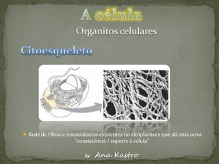  Rede de fibras e microtúbulos existentes no citoplasma e que dá uma certa
                      “consistência / suporte à célula”

                         by   Ana Kastro
 