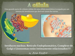 Uma grande parte do volume celular de uma célula eucariótica é ocupada por um
            sistema de membranas que derivam umas das outras.




Invólucro nuclear, Retículo Endoplasmático, Complexo de
  Golgi e Lisossomas estão intimamente relacionados!!!!
                            by   Ana Kastro
 