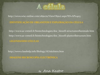 http://www.wisc-online.com/objects/ViewObject.aspx?ID=AP11403

 IDENTIFICAÇÃO DE ORGANITOS E EXPLORAÇÃO DA CÉLULA


http://www.ac-creteil.fr/biotechnologies/doc_biocell-structurecellanimale.htm
http://www.ac-creteil.fr/biotechnologies/doc_biocell-plantcellstructure.htm

 LEGENDANDO CÉLULAS



http://www.classhelp.info/Biology/AUnit1Intro.htm

 IMAGENS MICROSCOPIA ELECTRÓNICA




                           by   Ana Kastro
 