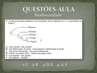 1: C 2: B   3: D, E   4: A, F
 