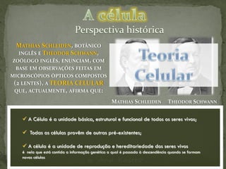 MATHIAS SCHLEIDEN, BOTÂNICO
  INGLÊS E THEODOR SCHWANN,
ZOÓLOGO INGLÊS, ENUNCIAM, COM
  BASE EM OBSERVAÇÕES FEITAS EM
MICROSCÓPIOS ÓPTICOS COMPOSTOS
 (2 LENTES), A TEORIA CELULAR
 QUE, ACTUALMENTE, AFIRMA QUE:

                                                  MATHIAS SCHLEIDEN             THEODOR SCHWANN


    A Célula é a unidade básica, estrutural e funcional de todos os seres vivos;

    Todas as células provêm de outras pré-existentes;

    A célula é a unidade de reprodução e hereditariedade dos seres vivos
   é nela que está contida a informação genética a qual é passada à descendência quando se formam
   novas células
                                     by   Ana Kastro
 