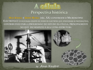 MAX KNOLL E ERNST RUSKA (SÉC. XX) CONSTROEM O MICROSCÓPIO
ELECTRÓNICO (FUNCIONAM ATRAVÉS DE FEIXES DE ELECTRÕES QUE ATRAVESSAM AS PREPARAÇÕES),
CONTRIBUINDO PARA A PROGRESSÃO DO ESTUDO DA CÉLULA, PRINCIPALMENTE
              NO QUE DIZ RESPEITO À SUA ULTRA-ESTRUTURA




                                by   Ana Kastro
 