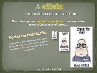 Mas não é apenas o poder de ampliação que torna estes
            microscópios mais eficazes…




                  by   Ana Kastro
 