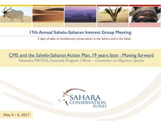 17th Annual Sahelo-Saharan Interest Group Meeting
2 days of talks on biodiversity conservation in the Sahara and in the Sahel
CMS and the Sahelo-Saharan Action Plan, 19 years later : Moving forward
Yelizaveta PROTAS,Associate Program Officer – Convention on Migratory Species
May	4	– 6,	2017
 
