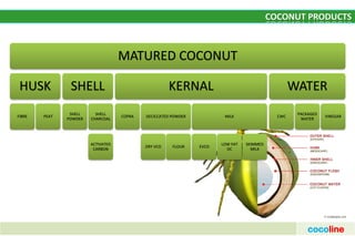 2-COCOLINE- C NUT- PPT.pdf