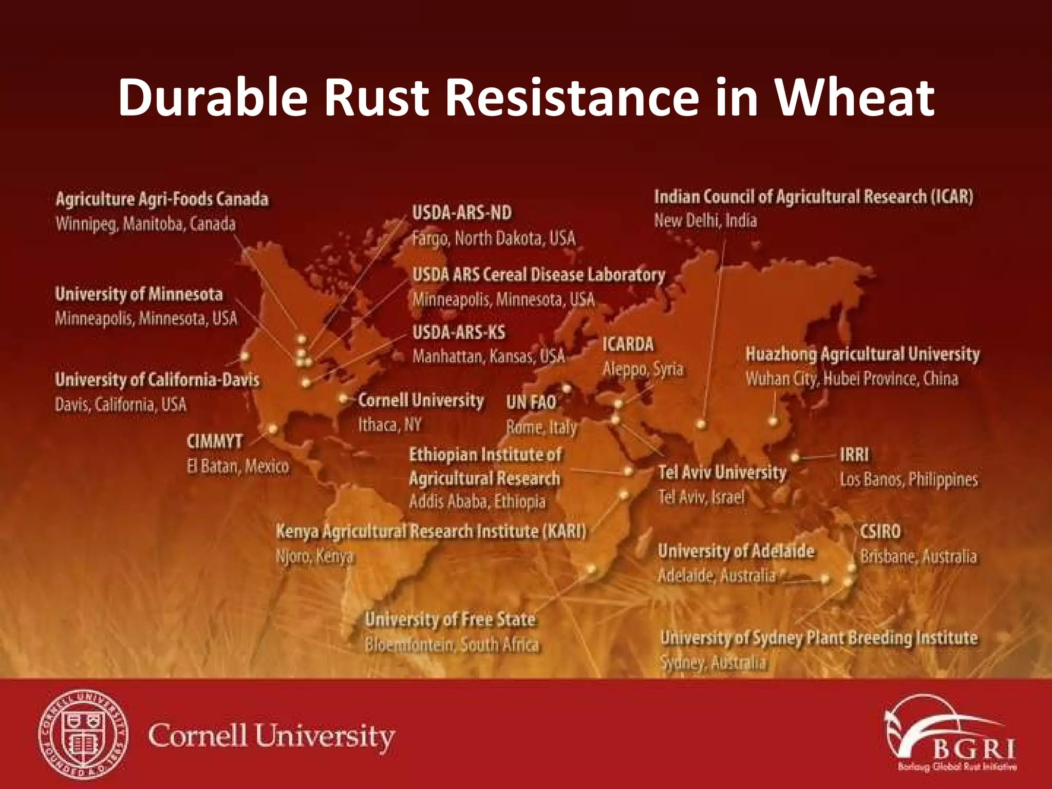 Durable Rust Resistance in Wheat 