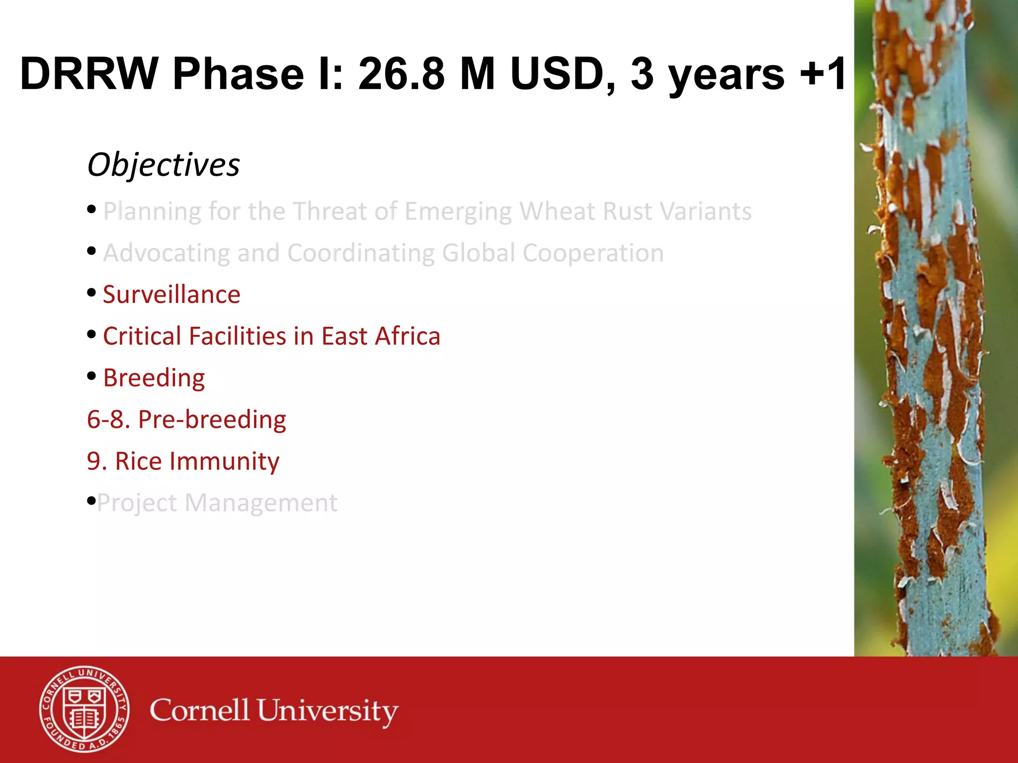 Objectives Planning for the Threat of Emerging Wheat Rust Variants Advocating and Coordinating Global Cooperation Surveillance Critical Facilities in East Africa Breeding 6-8. Pre-breeding 9. Rice Immunity Project Management DRRW Phase I: 26.8 M USD, 3 years +1 