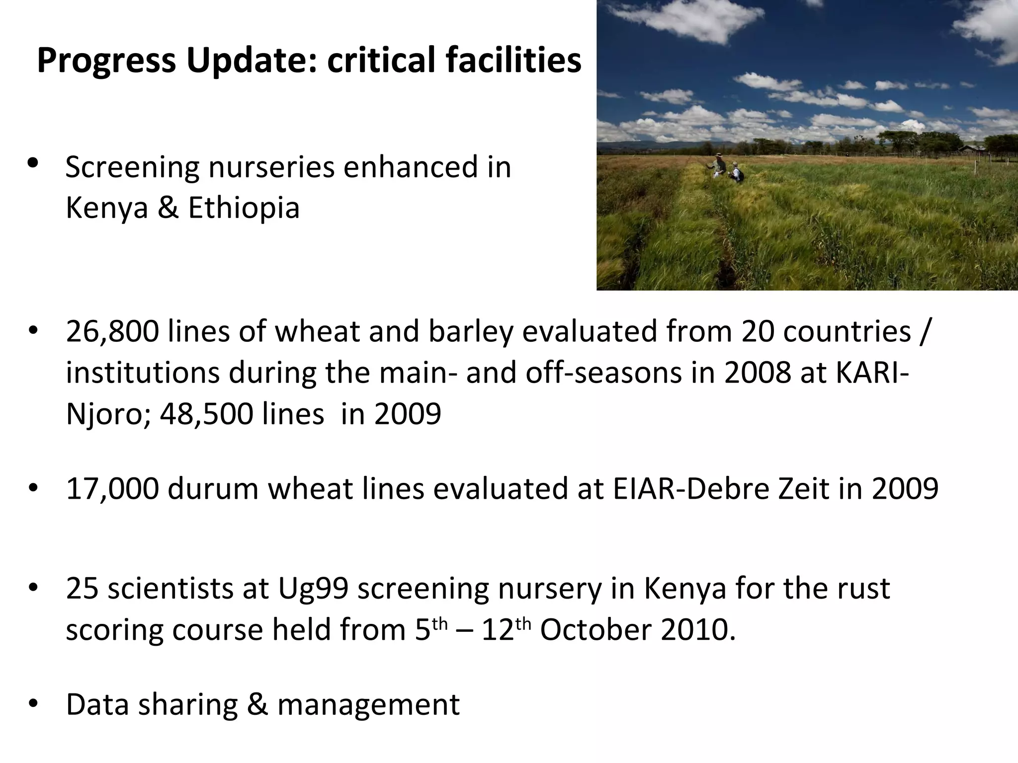 26,800 lines of wheat and barley evaluated from 20 countries / institutions during the main- and off-seasons in 2008 at KARI-Njoro; 48,500 lines  in 2009 17,000 durum wheat lines evaluated at EIAR-Debre Zeit in 2009 25 scientists at Ug99 screening nursery in Kenya for the rust scoring course held from 5 th  – 12 th  October 2010.  Data sharing & management Progress Update: critical facilities  Screening nurseries enhanced in Kenya & Ethiopia 