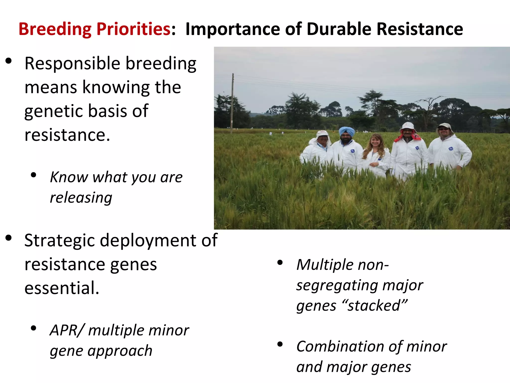 Breeding Priorities :  Importance of Durable Resistance Responsible breeding means knowing the genetic basis of resistance. Know what you are releasing Strategic deployment of resistance genes essential. APR/ multiple minor gene approach Multiple non-segregating major genes  “stacked” Combination of minor and major genes 