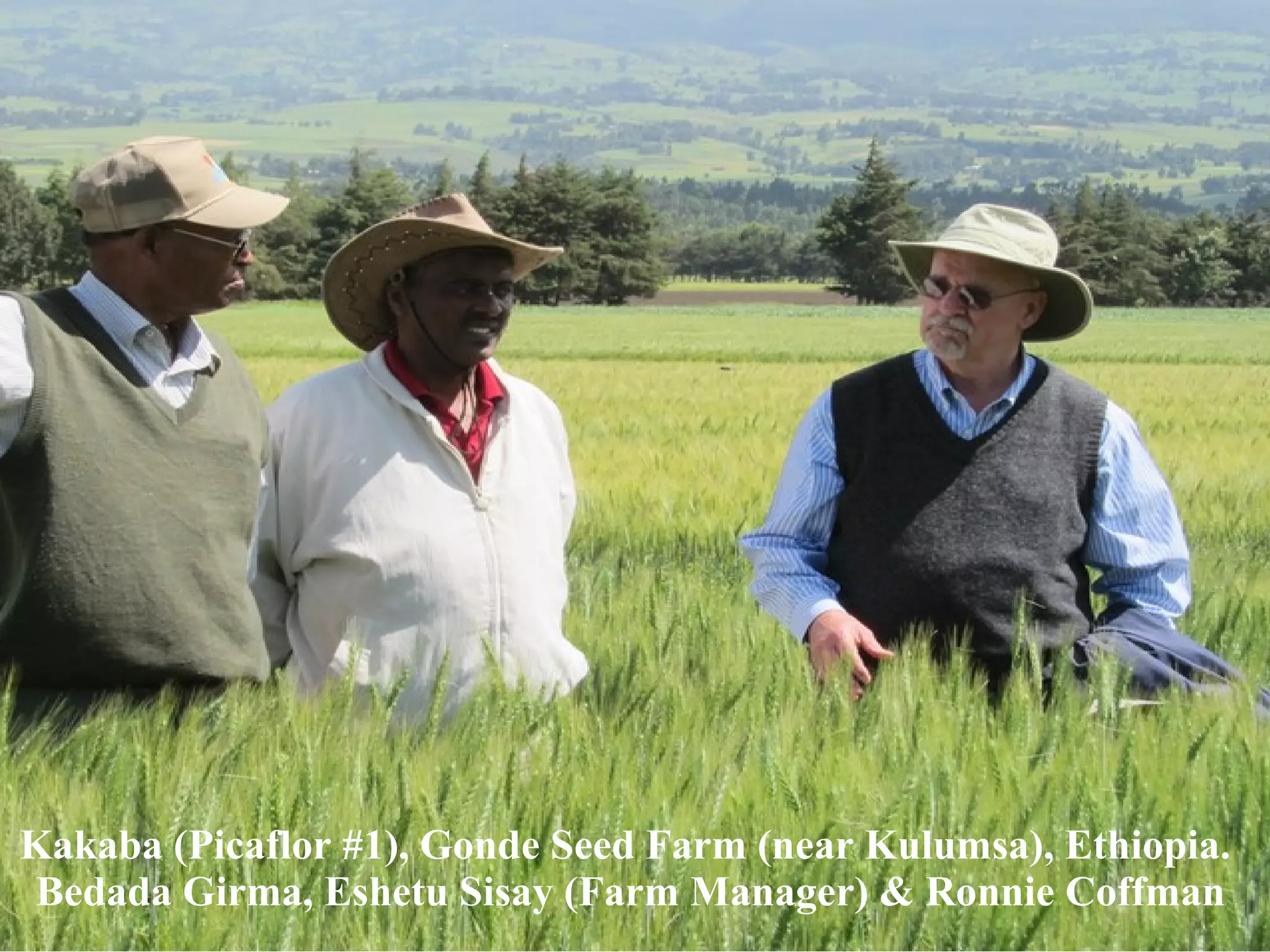 Kakaba (Picaflor #1), Gonde Seed Farm (near Kulumsa), Ethiopia.  Bedada Girma, Eshetu Sisay (Farm Manager) & Ronnie Coffman 