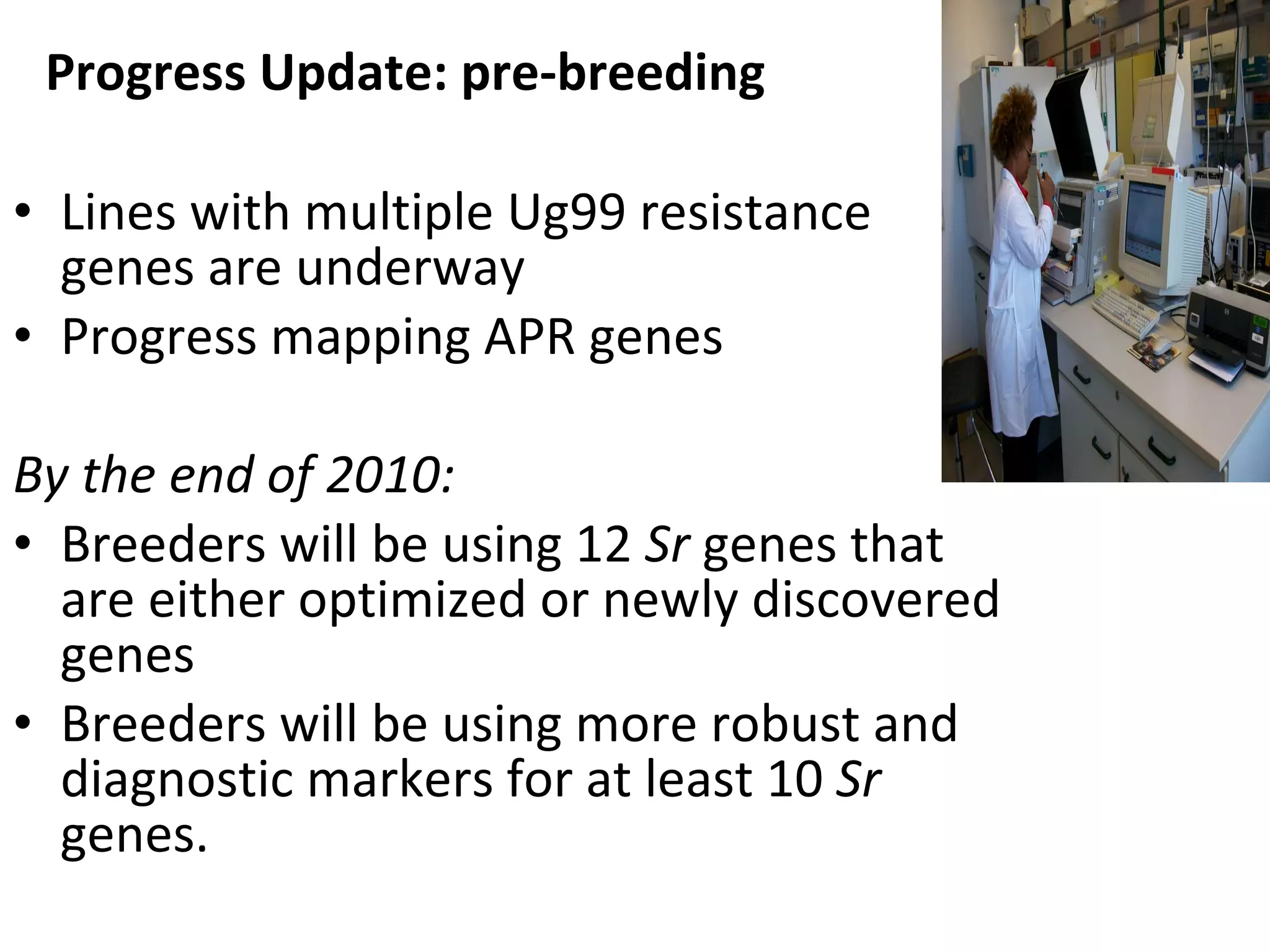 Lines with multiple Ug99 resistance genes are underway Progress mapping APR genes  By the end of 2010: Breeders will be using 12  Sr  genes that are either optimized or newly discovered genes Breeders will be using more robust and diagnostic markers for at least 10  Sr  genes. Progress Update: pre-breeding 