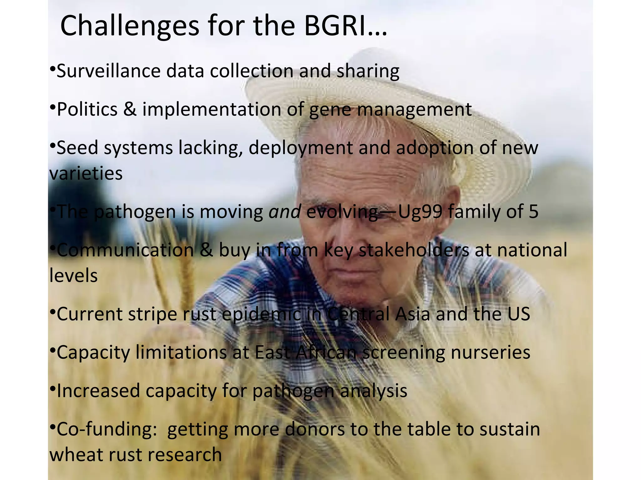 Surveillance data collection and sharing Politics & implementation of gene management Seed systems lacking, deployment and adoption of new varieties The pathogen is moving  and  evolving—Ug99 family of 5 Communication & buy in from key stakeholders at national levels Current stripe rust epidemic in Central Asia and the US Capacity limitations at East African screening nurseries Increased capacity for pathogen analysis Co-funding:  getting more donors to the table to sustain wheat rust research Challenges for the BGRI… 
