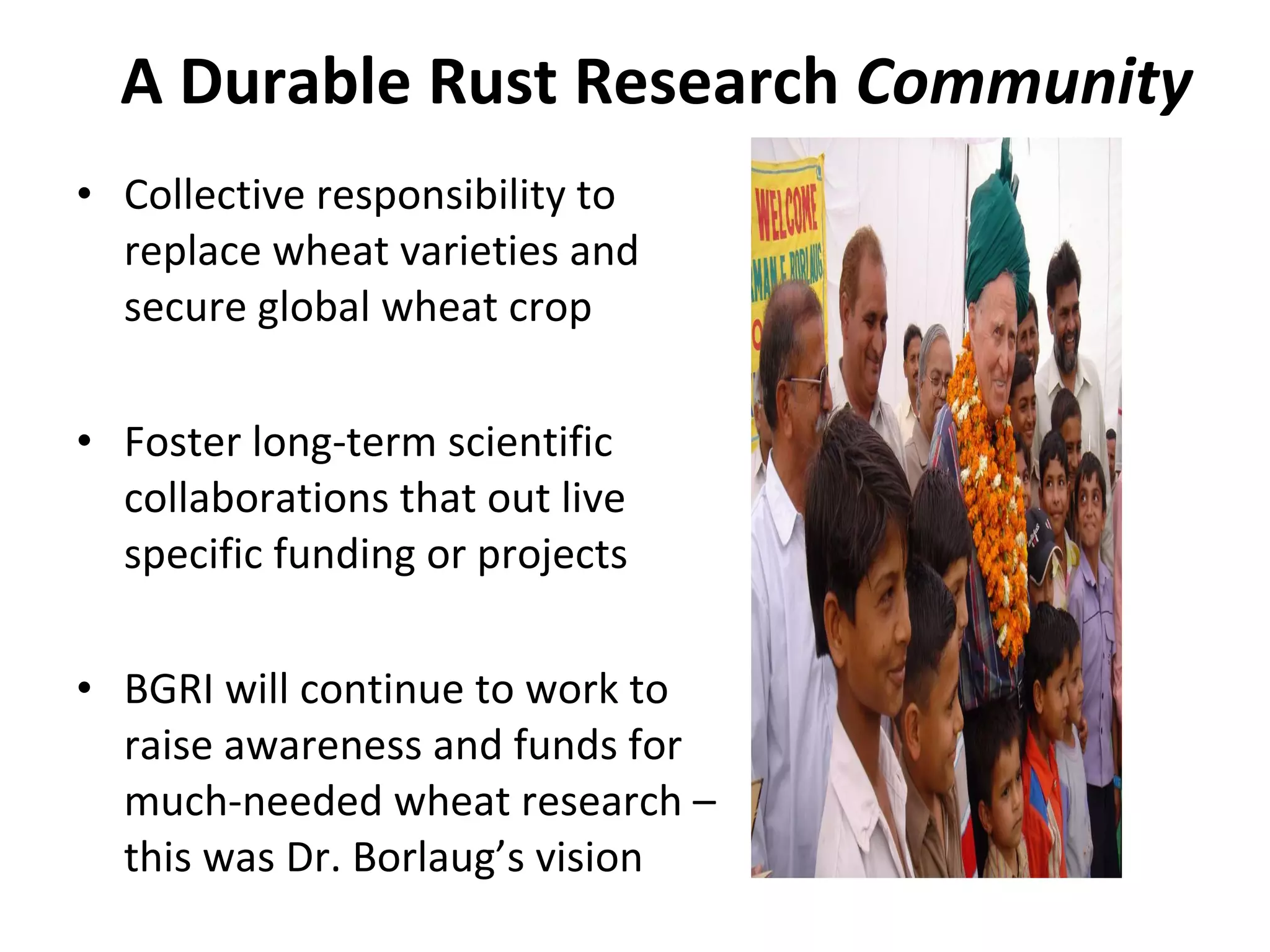 A Durable Rust Research  Community Collective responsibility to replace wheat varieties and secure global wheat crop Foster long-term scientific collaborations that out live specific funding or projects BGRI will continue to work to raise awareness and funds for much-needed wheat research – this was Dr. Borlaug ’s vision 