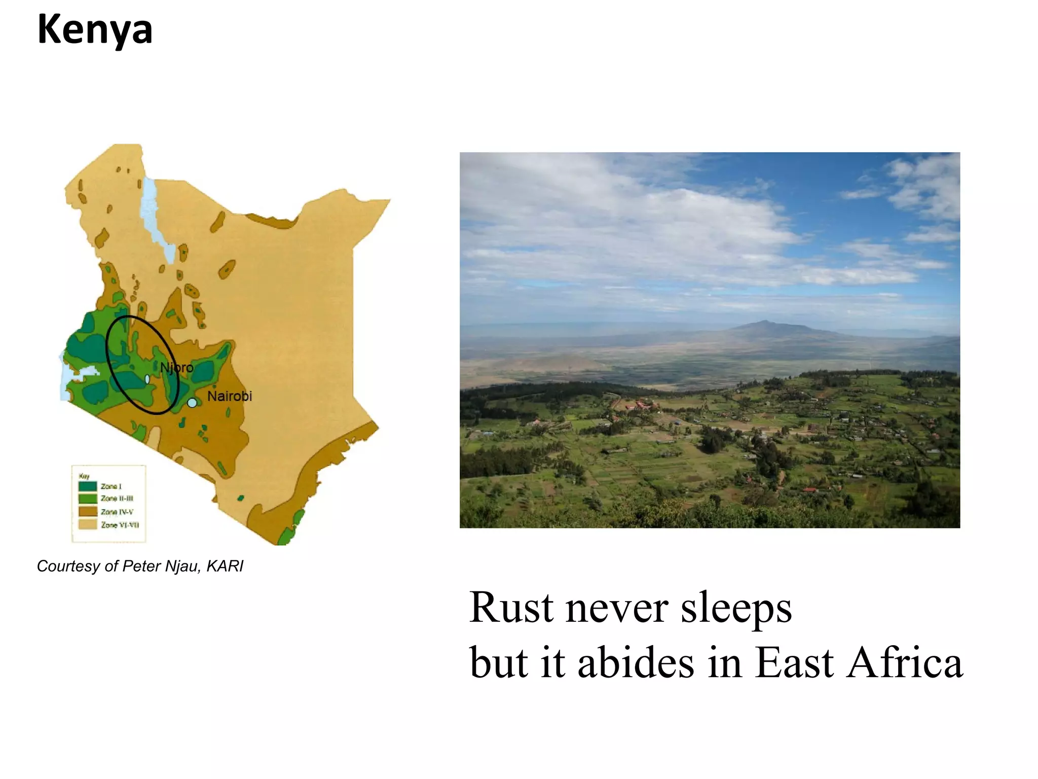 Courtesy of Peter Njau, KARI Kenya Rust never sleeps but it abides in East Africa 
