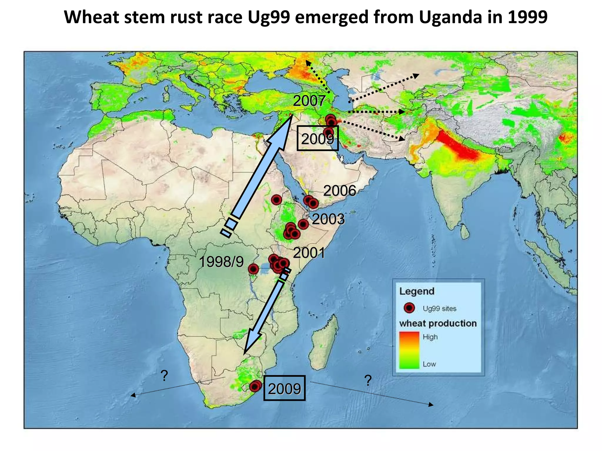 2009 2009 1998/9 2001 2003 2006 2007 ? ? Wheat stem rust race Ug99 emerged from Uganda in 1999 