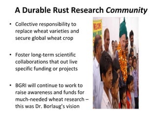 Durable Rust Resistance in Wheat Phase I Progress / Phase II Prospects ...