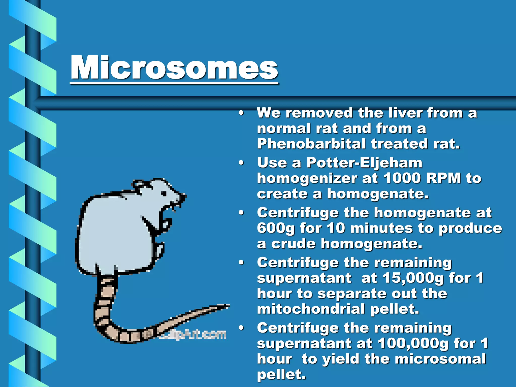 Microsomes
• We removed the liver from a
normal rat and from a
Phenobarbital treated rat.
• Use a Potter-Eljeham
homogenizer at 1000 RPM to
create a homogenate.
• Centrifuge the homogenate at
600g for 10 minutes to produce
a crude homogenate.
• Centrifuge the remaining
supernatant at 15,000g for 1
hour to separate out the
mitochondrial pellet.
• Centrifuge the remaining
supernatant at 100,000g for 1
hour to yield the microsomal
pellet.
 
