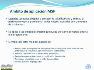 Ambito de aplicación MSF
 Medidas sanitarias dirigidas a proteger la salud humana y animal, el
patrimonio vegetal y ambiental de los riesgos asociados con la entrada
de patógenos.
 Se aplica a toda medida sanitaria que pueda afectar el comercio directa
o indirectamente.
 Ejemplos de estas medidas pueden ser:
 Restricciones a la importación de especies que no vengan de zonas libres de una
enfermedad o no cumplan con determinados tratamientos;
 Medidas cuarentenarias o inspecciones en frontera;
 Exigencias documentales como la certificación fitosanitaria;
 Normas de etiquetado como la fecha de caducidad;
 Límites máximos de plaguicidas.
 