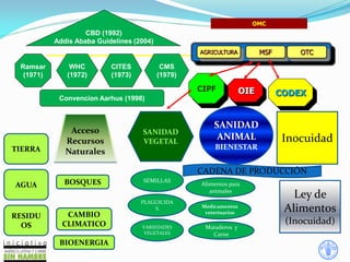 SANIDAD
ANIMAL
BIENESTAR
Inocuidad
Alimentos para
animales
Mataderos y
Carne
Medicamentos
veterinarios
CADENA DE PRODUCCIÓN
Acceso
Recursos
NaturalesTIERRA
AGUA BOSQUES
SANIDAD
VEGETAL
PLAGUICIDA
S
Ramsar
(1971)
WHC
(1972)
CITES
(1973)
CMS
(1979)
CBD (1992)
Addis Ababa Guidelines (2004)
Convencion Aarhus (1998)
OMC
MSF OTC
OIE CODEX
CIPF
AGRICULTURA
RESIDU
OS
CAMBIO
CLIMATICO
BIOENERGIA
SEMILLAS
VARIEDADES
VEGETALES
Ley de
Alimentos
(Inocuidad)
 