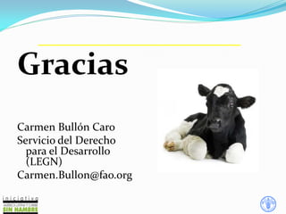 Gracias
Carmen Bullón Caro
Servicio del Derecho
para el Desarrollo
(LEGN)
Carmen.Bullon@fao.org
 