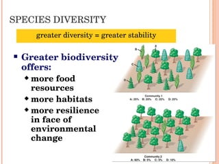 SPECIES DIVERSITY greater diversity = greater stability Greater biodiversity offers: more food  resources more habitats more resilience  in face of environmental change 