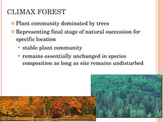 CLIMAX FOREST Plant community dominated by trees  Representing final stage of natural succession for specific location   stable plant community remains essentially unchanged in species composition as long as site remains undisturbed 