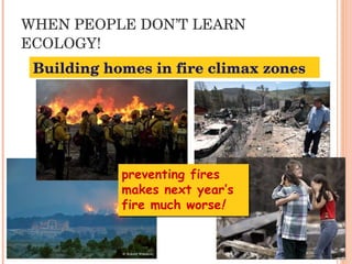 WHEN PEOPLE DON’T LEARN ECOLOGY! Building homes in fire climax zones preventing fires makes next year’s fire much worse ! 