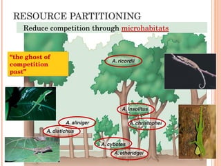 RESOURCE PARTITIONING Reduce competition through  microhabitats “ the ghost of competition past”  