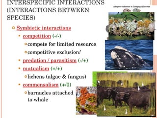 INTERSPECIFIC INTERACTIONS (INTERACTIONS BETWEEN SPECIES)  Symbiotic interactions competition   (-/-) compete for limited resource competitive exclusion ! predation / parasitism   (-/+) mutualism   (+/+) lichens (algae & fungus) commensalism   (+/0) barnacles attached  to whale 