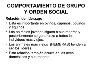 COMPORTAMIENTO DE GRUPO
    Y ORDEN SOCIAL
Relación de liderazgo
• Esta es importante en ovinos, caprinos, bovinos
  y equinos.
• Los animales jóvenes siguen a sus madres y
  posteriormente se generaliza a todos los
  individuos más viejos.
• Los animales más viejos (HEMBRAS) tienden a
  ser los líderes.
• Esta relación también ocurre en las aves
  domésticos y sus madres.
 