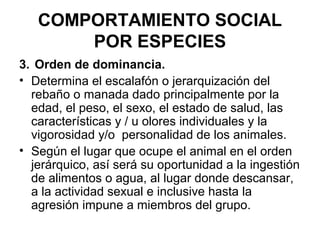COMPORTAMIENTO SOCIAL
       POR ESPECIES
3. Orden de dominancia.
• Determina el escalafón o jerarquización del
  rebaño o manada dado principalmente por la
  edad, el peso, el sexo, el estado de salud, las
  características y / u olores individuales y la
  vigorosidad y/o personalidad de los animales.
• Según el lugar que ocupe el animal en el orden
  jerárquico, así será su oportunidad a la ingestión
  de alimentos o agua, al lugar donde descansar,
  a la actividad sexual e inclusive hasta la
  agresión impune a miembros del grupo.
 