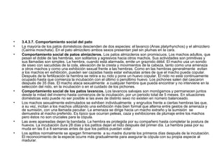 •   3.4.3.7. Comportamiento social del pato
•   La mayoría de los patos domésticos descienden de dos especies: el lavanco (Anas platyrhynchos) y el almizclero
    (Cairina moschata). En el pato almizclero ambos sexos presentan piel sin plumas en la cara.
•   Comportamiento social de patos almizcleros. Los patos almizcleros son promiscuos. Los machos adultos, que
    pesan el doble de las hembras, son solitarios y agresivos hacia otros machos. Sus actividades son primitivas y
    sus llamadas son simples. La hembra, cuando está alarmada, emite un graznido débil. El macho usa un sonido
    de siseo con sacudidas de la cola, elevación de la cresta y movimientos de la cabeza, tanto como una amenaza
    a otros machos y como una exhibición sexual frente a las hembras. Como en las hembras generalmente evitan
    a los machos en exhibición, pueden ser cazadas hasta estar exhaustas antes de que el macho pueda copular.
    Después de la fertilización la hembra se retira a su nido y pone un huevo copular. El nido no está continuamente
    ocupado hasta que comienza la incubación con el último o penúltimo huevo. Los pichones salen del cascaron
    después de 35 días. El macho ataca sexualmente a cualquier hembra que pueda encontrar y no interviene en la
    selección del nido, en la incubación o en el cuidado de los pichones.
•   Comportamiento social de los patos lavancos. Los lavancos salvajes son monógamos y permanecen juntos
    desde la mitad del invierno hasta comienzos de la incubación, por un periodo total de 5 meses. En situaciones
    domésticas esto puede no ser posible si las aves de distinto sexo no existen en número balanceado.
•   Los machos sexualmente estimulados se exhiben individualmente y engrudos frente a ciertas hembras las que,
    a su vez, incitan a los machos utilizando una exhibición más bien formal que alterna entre gestos de amenaza y
    de sumisión, con una llamada peculiar. La amenaza se dirige hacia un macho extraño y la sumisión se
    demuestra al macho preferido. Es típico que ocurran peleas, caza y exhibiciones de plumaje entre los machos
    pero éstos no son cruciales para la cópula.
•   Las aves apareadas dejan la bandada. La hembra es protegida por su compañero hasta completar la postura de
    huevos. La incubación dura 28 días y los patitos dejan el nido después del primer día. La hembra pasa por su
    muda en las 6 a 8 semanas antes de que los patitos puedan volar.
•   Los aptitos normalmente se apegan firmemente a su madre durante los primeros días después de la incubación.
    El reconocimiento de la especie ocurre más gradualmente para asegurar la cópula con su propia especie al
    madurar.
 