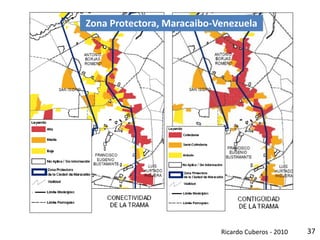 37
Zona Protectora, Maracaibo-Venezuela
Ricardo Cuberos - 2010
 