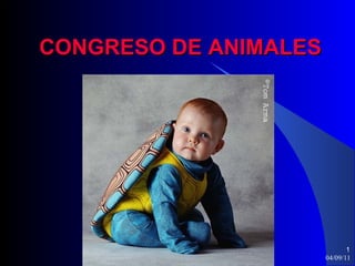 CONGRESO DE ANIMALES




                              1
                       04/09/11
 