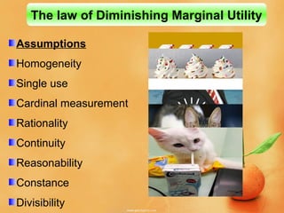 Assumptions
Homogeneity
Single use
Cardinal measurement
Rationality
Continuity
Reasonability
Constance
Divisibility
The law of Diminishing Marginal Utility
 